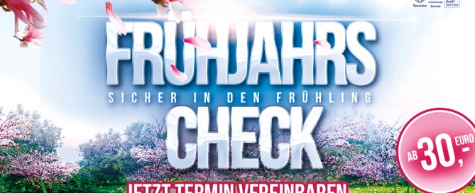 Frühjahrs Check Auto Kofler
